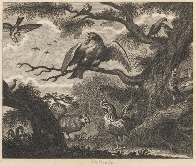 The Vulture, the Sparrow, and other Birds by William Skelton