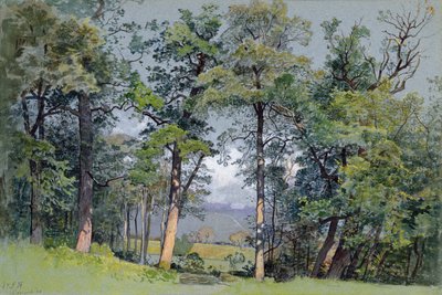 Coppet, Lake Geneva by William Stanley Haseltine