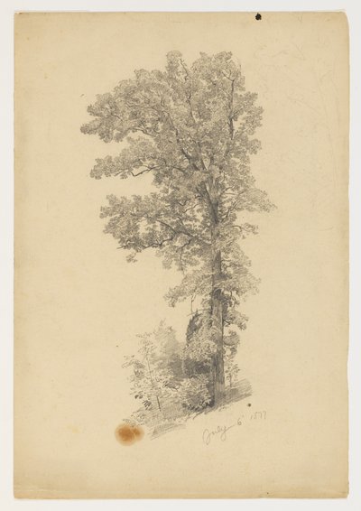 Study of Foliage by William Trost Richards
