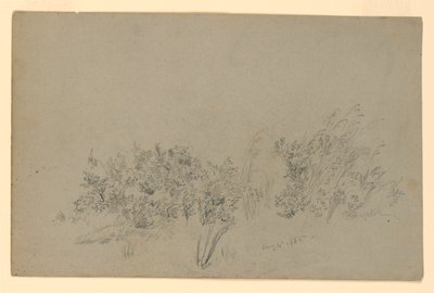Study of Foliage by William Trost Richards