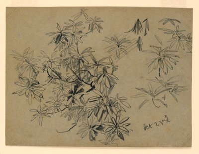 Study of Foliage by William Trost Richards