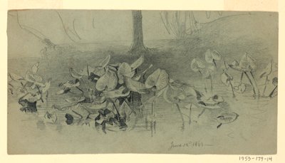 Study of Foliage by William Trost Richards