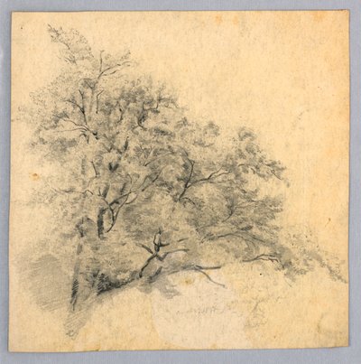 Study of Foliage by William Trost Richards