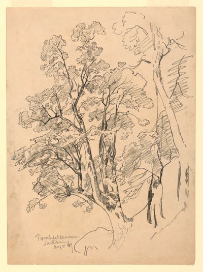 Study of Foliage, Trachselwald, Bern, Switzerland by William Trost Richards