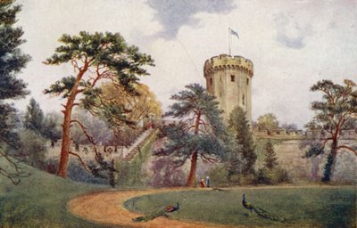 Warwick Castle: Guy