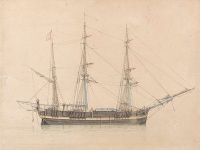 The Whaler "Truelove" of Hull by William Ward