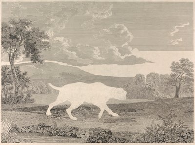 The Spanish Pointer by William Woollett