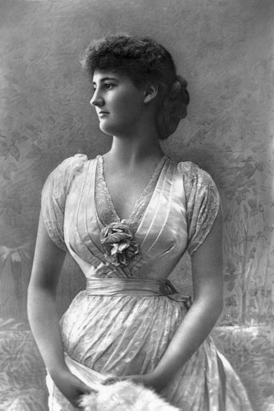 The Duchess of Leinster, 1890 by William and Daniel Downey