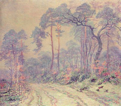 The Path Through the Wood by Willy Schlobach