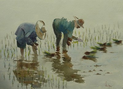 Planting rice by Wilson Clive