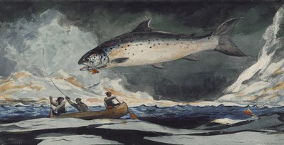 A Good Pool, Saguenay River by Winslow Homer