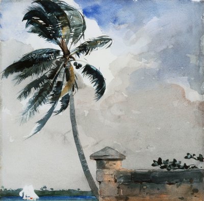 A Tropical Breeze, Nassau by Winslow Homer