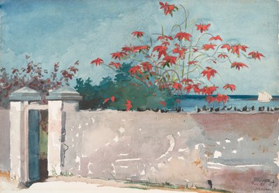 A Wall, Nassau, 1898 by Winslow Homer