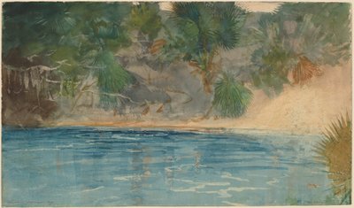 Blue Spring, Florida by Winslow Homer