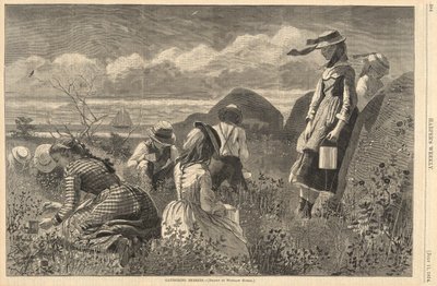 Gathering Berries, from Harper by Winslow Homer