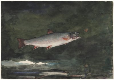 Leaping Trout, 1889 by Winslow Homer