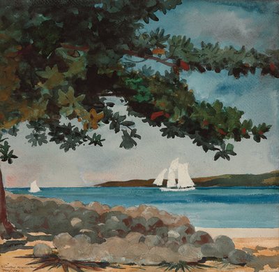 Nassau: Water and Sailboat by Winslow Homer