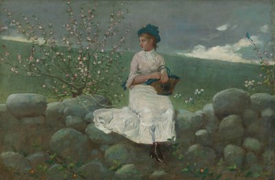 Peach Blossoms by Winslow Homer