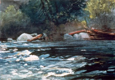 Rapids, Hudson River by Winslow Homer