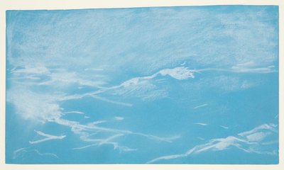Seagull and Waves by Winslow Homer