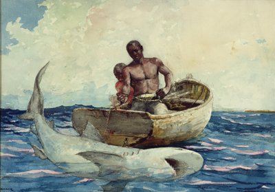 Shark Fishing by Winslow Homer
