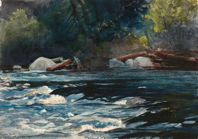 The Rapids, Hudson River, Adirondacks by Winslow Homer