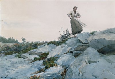 The Twigs Gatherer by Winslow Homer