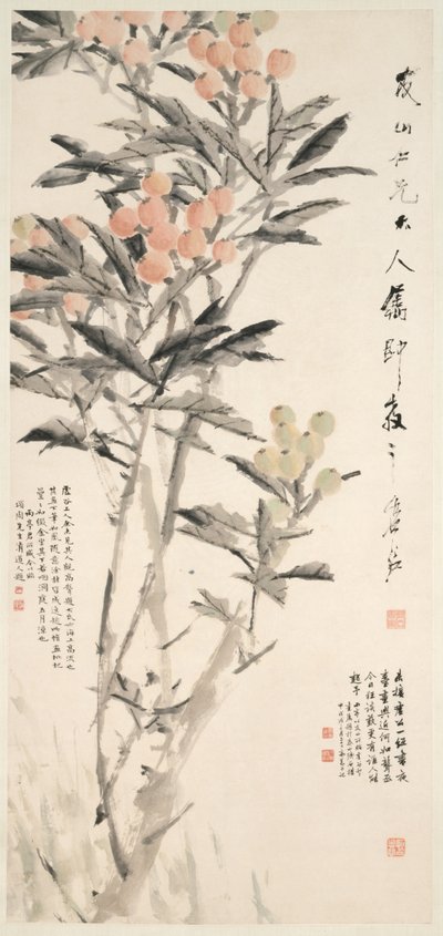 Pipa Loquats, c. 1888-89 by Xugu
