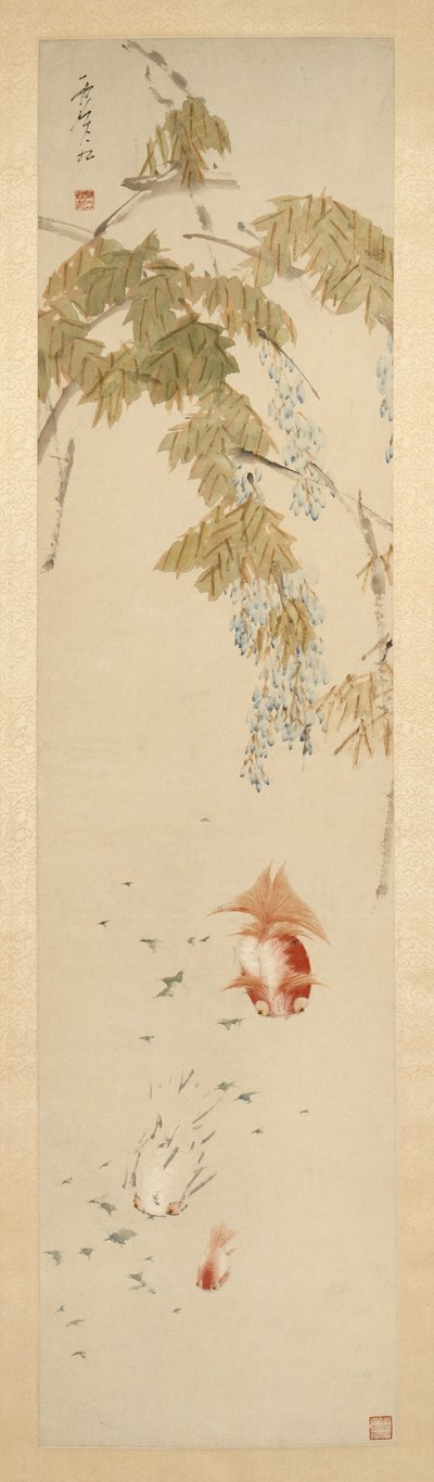 Wisteria and Goldfish by Xugu