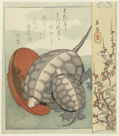 Turtles with Sake Cup by Yashima Gakutei