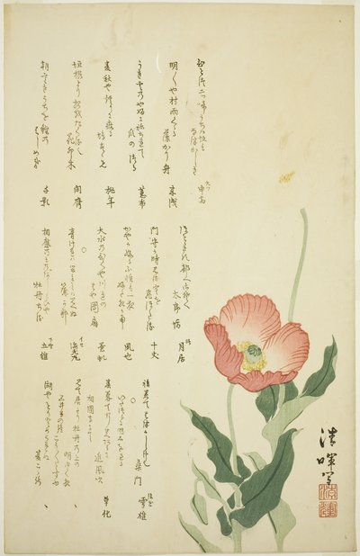 Two Poppies by Yokoyama Seiki