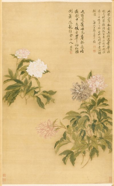 Peonies by Shouping Yun