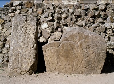 View of Stelea of Danzantes by Zapotec Zapotec