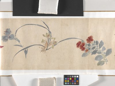 Coloured Flowers by Zhimian Zhou