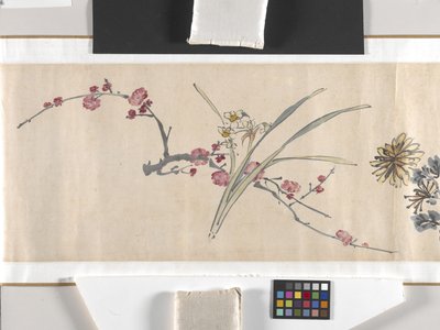 Coloured Flowers by Zhimian Zhou