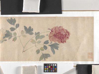 Coloured Flowers by Zhimian Zhou
