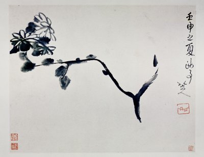 Chrysanthemum, 1692 by Zhu Da