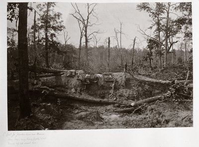 Battlefield of New Hope Church, Georgia, USA by Ferdinand Georg Waldmuller
