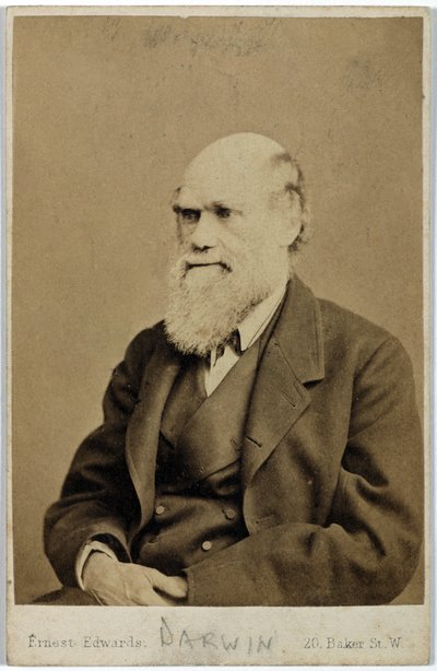 Charles Darwin, English Naturalist, c. 1870s by Ferdinand Georg Waldmuller