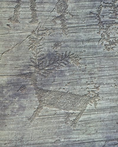 Petroglyphs on Rock by Isabel Redie