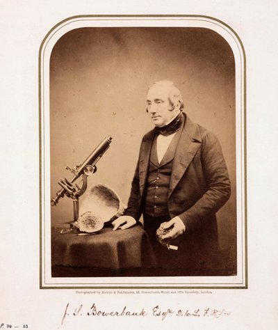 James Scott Bowerbank, British Geologist by Ferdinand Georg Waldmuller