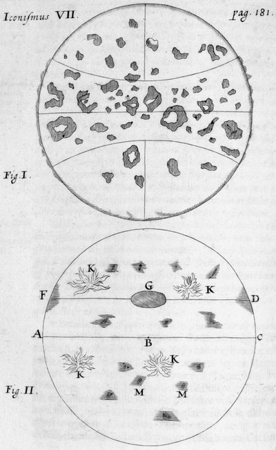 Sunspots by Frederick (attr. to) Barnard