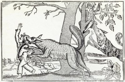 The Wolf by . .