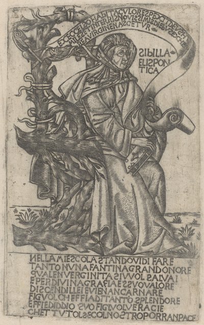 Hellespontine Sibyl by after Baccio Baldini