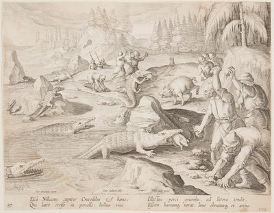 Crocodile Hunt by after Jan van der Straet, called Stradanus