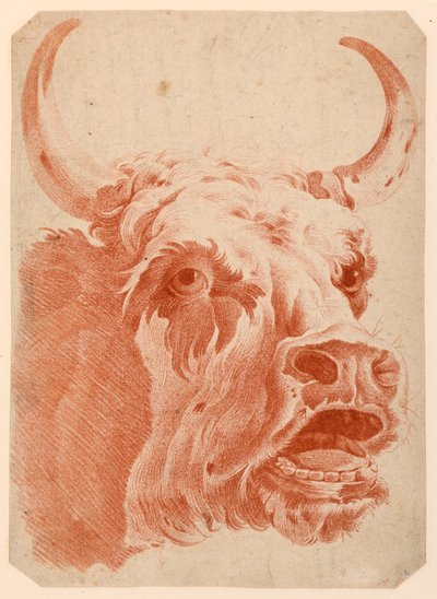 Head of a Cow by after Jean Baptiste Huet