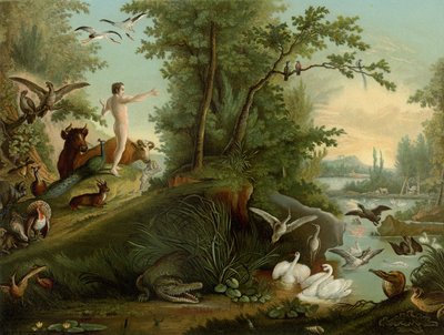 Adam in Paradise by Johann Elias Ridinger or Riedinger