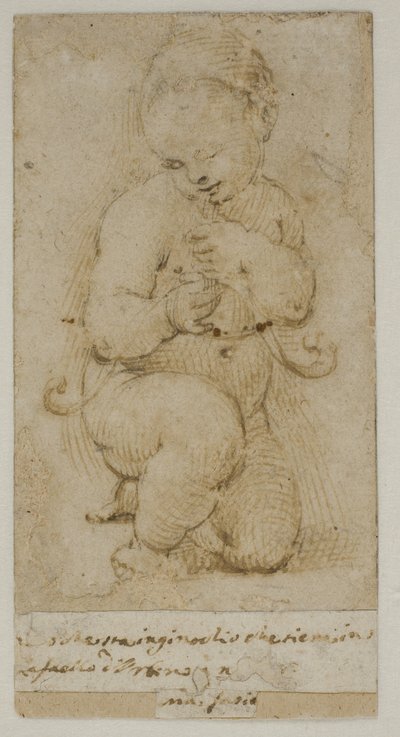 The Infant John the Baptist by after Raphael