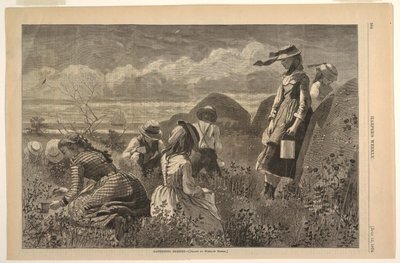 Gathering Berries by after Winslow Homer
