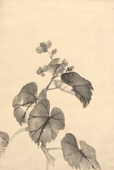 Branch of Begonia in Bloom by attributed to Kono Bairei